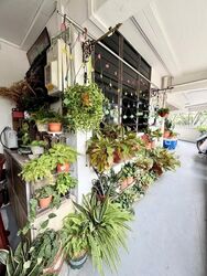 Blk 166 Yishun Ring Road (Yishun), HDB 4 Rooms #621855701